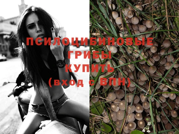 винт Покров