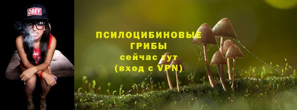 винт Покров