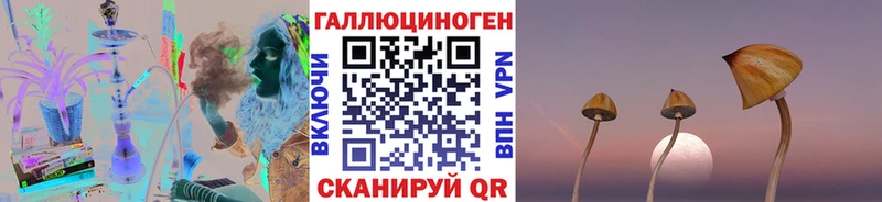 даркнет сайт  Новотитаровская  Псилоцибиновые грибы мицелий 